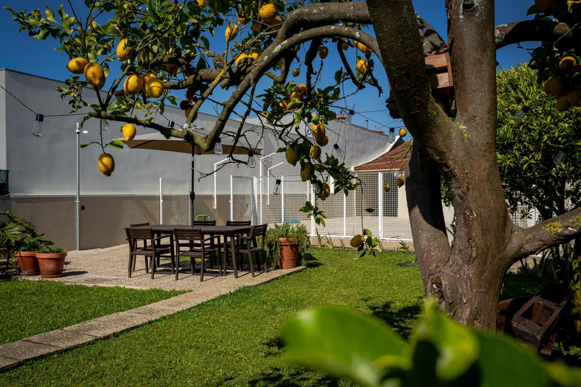 714 Mugnano House Aveleda Villa Vila do Conde Exterior photo